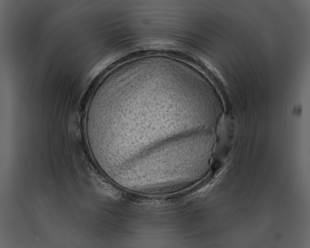 X0000091230970200708231651