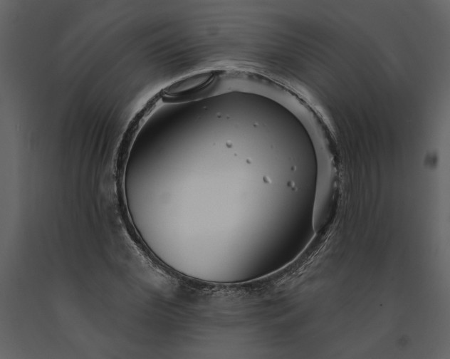 X0000091230972200708231651