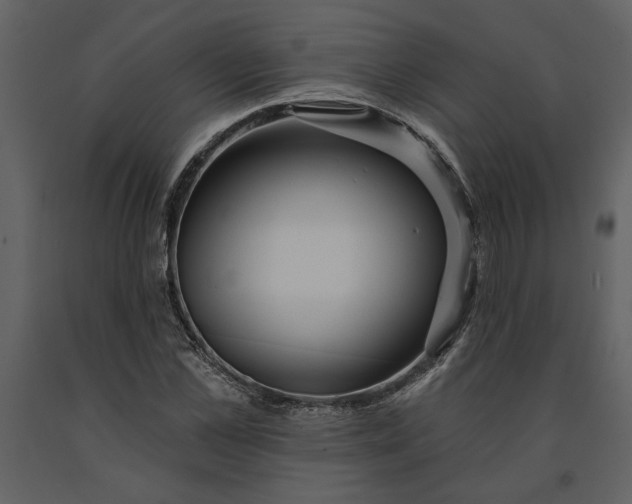 X0000091230973200708231651