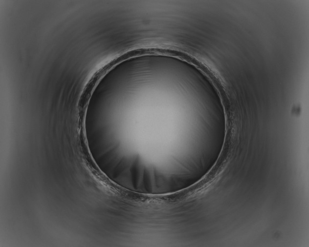 X0000091230974200708231651