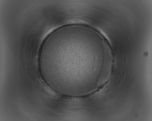 X0000091230975200708231651