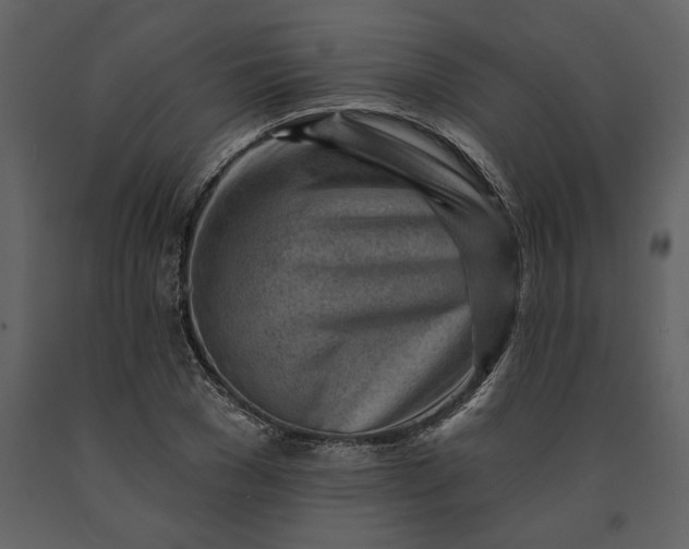 X0000091230977200708231651