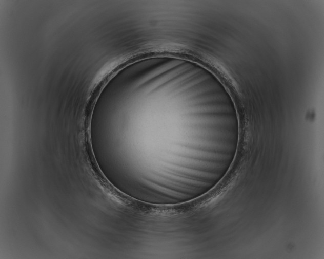 X0000091230978200708231651