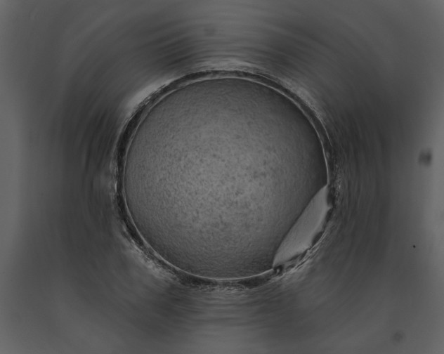 X0000091230979200708231651