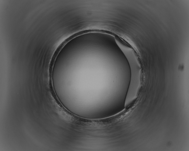 X0000091230980200708231651