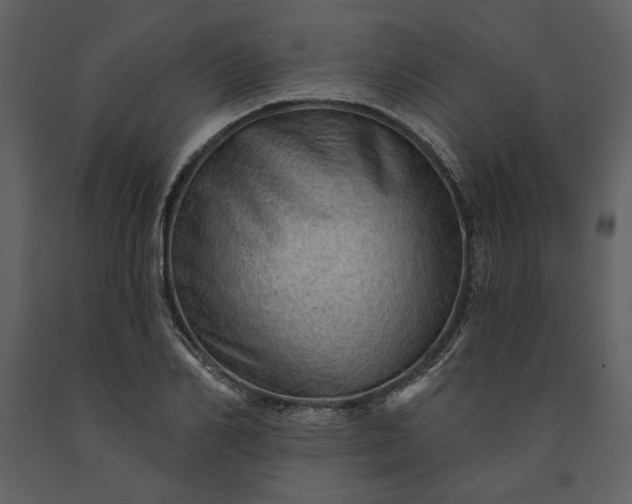 X0000091230982200708231651