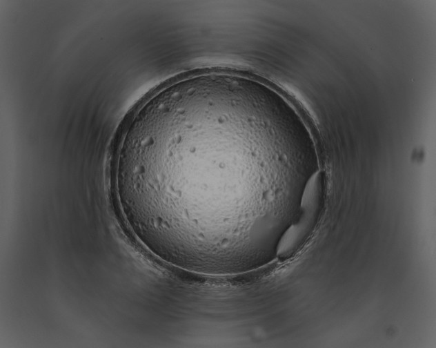 X0000091230983200708231650