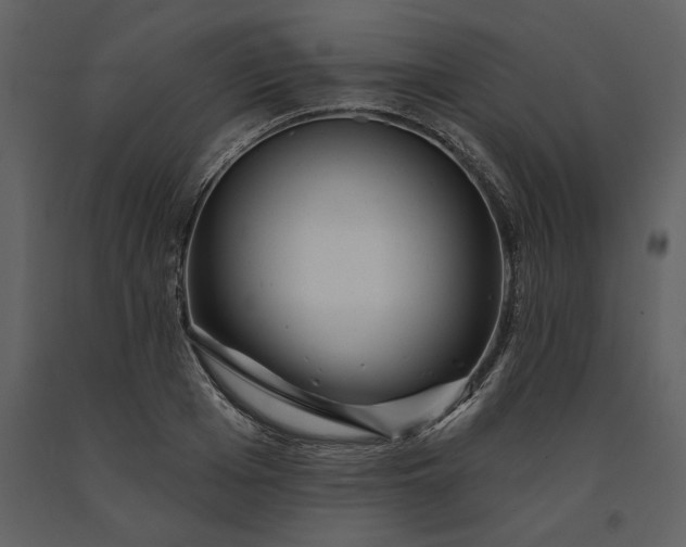 X0000091230985200708231650