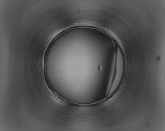 X0000091230988200708231650