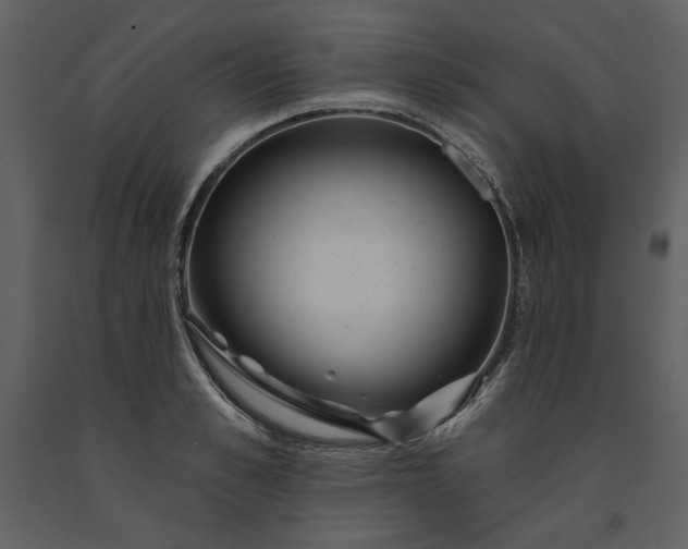 X0000091230989200708231650