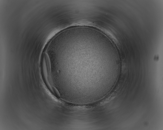 X0000091230990200708231650