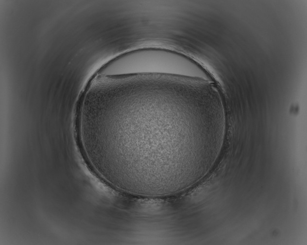 X0000091230991200708231650