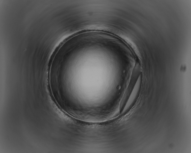 X0000091230992200708231650