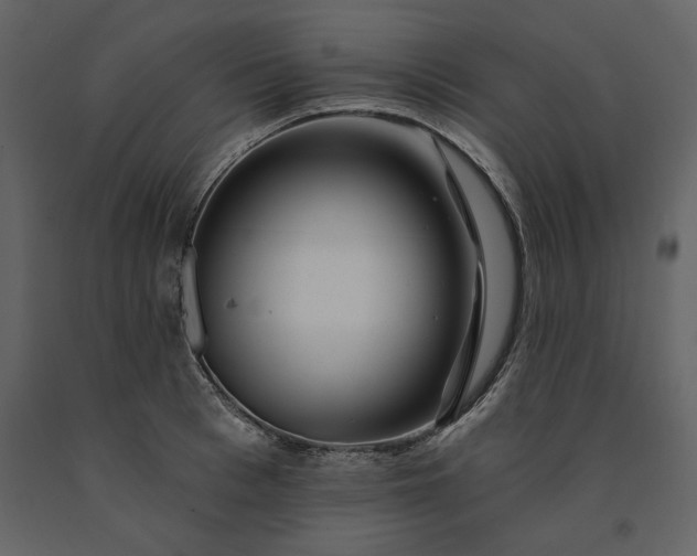 X0000091230993200708231650