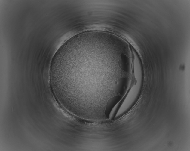 X0000091230994200708231650