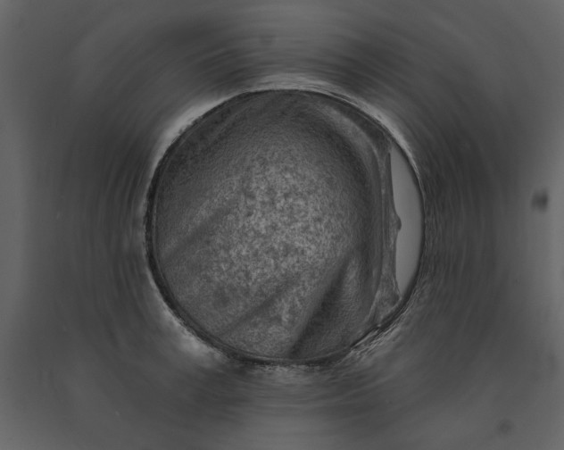X0000091230995200708231650