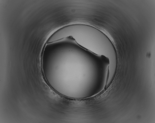 X0000091230996200708231650