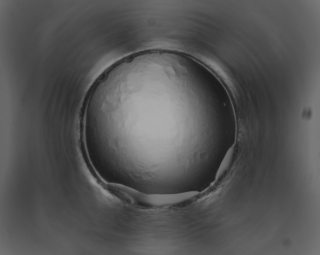 X0000091230999200708231650