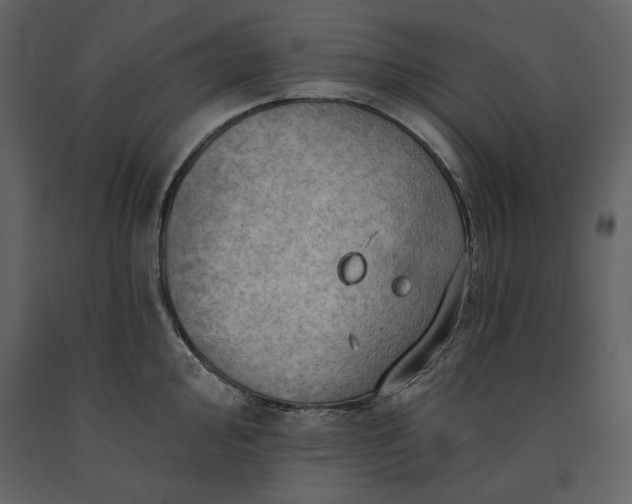 X0000091231000200708231650