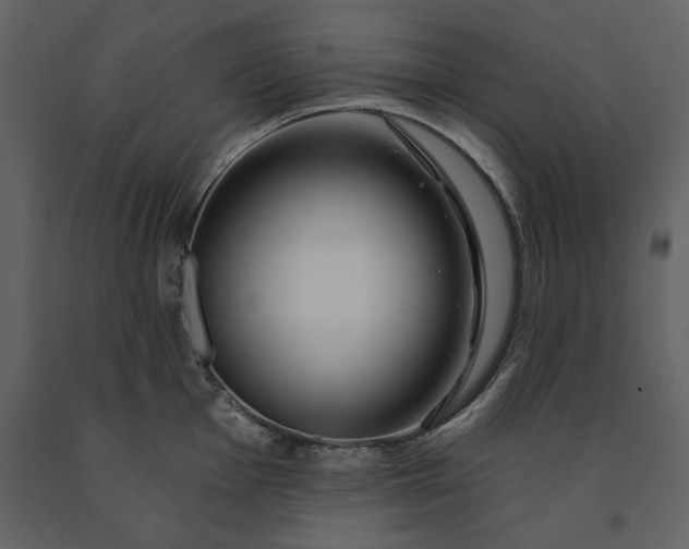 X0000091231001200708231650