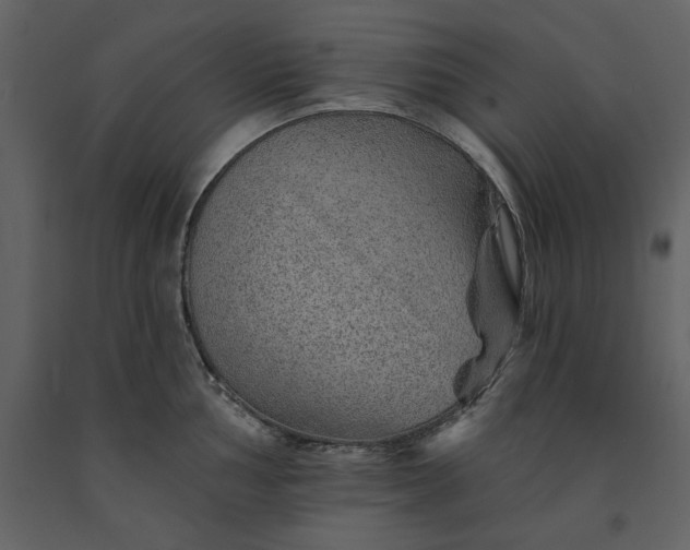 X0000091231002200708231650