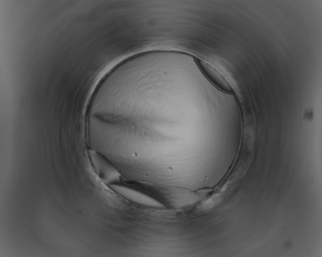 X0000091231004200708231650
