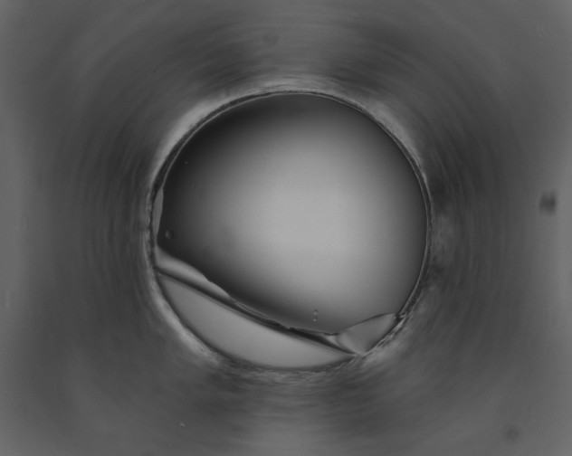 X0000091231005200708231650