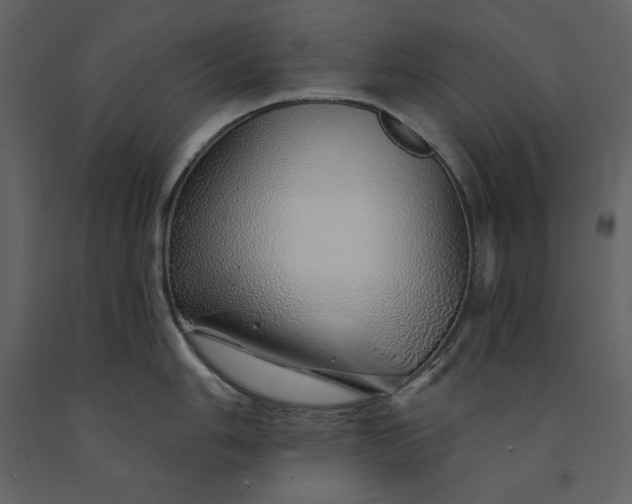 X0000091231006200708231650