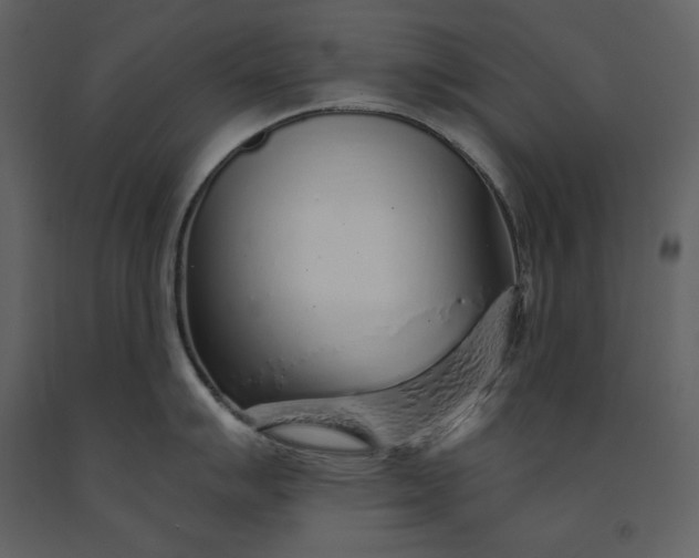 X0000091231007200708231650