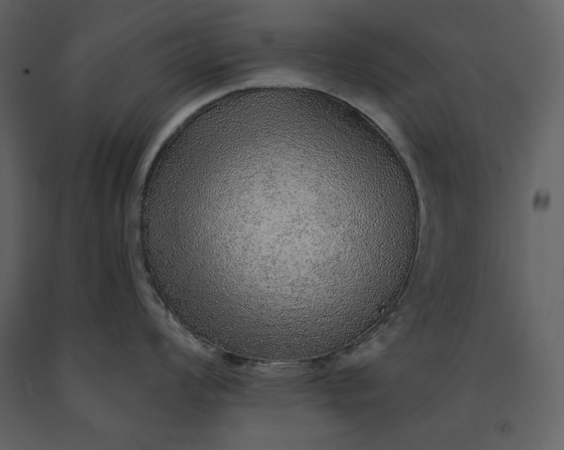 X0000091231008200708231650
