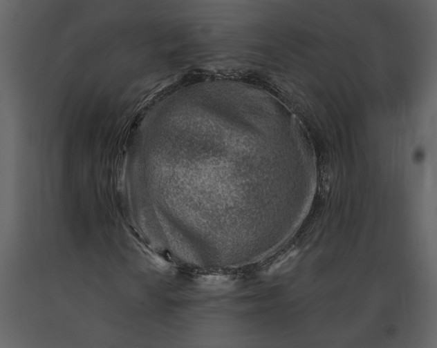 X0000091231010200708231649