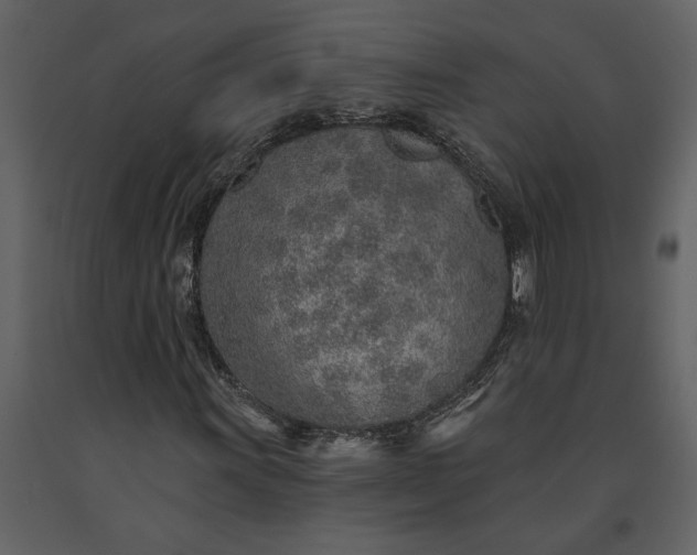 X0000091231011200708231649