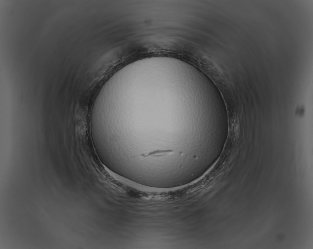 X0000091231012200708231649