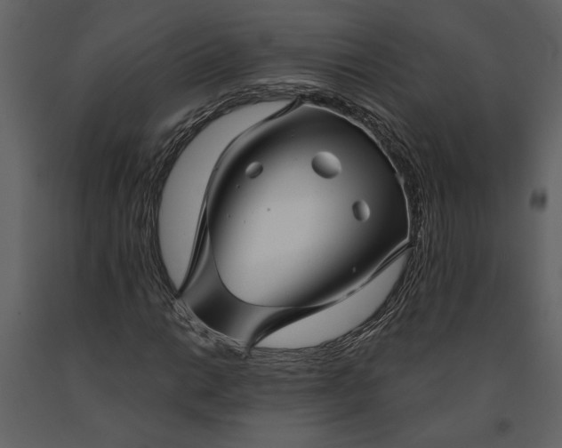 X0000091231014200708231649