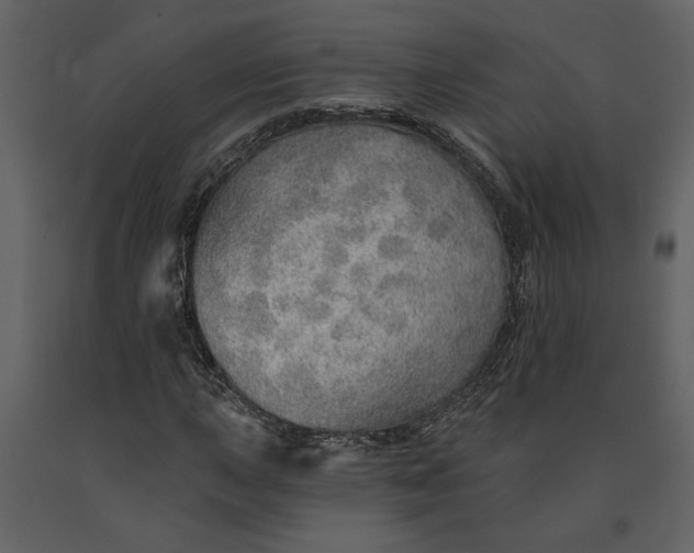 X0000091231015200708231649