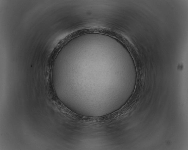 X0000091231016200708231649