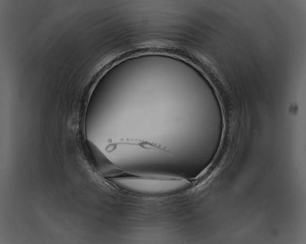 X0000091231017200708231649