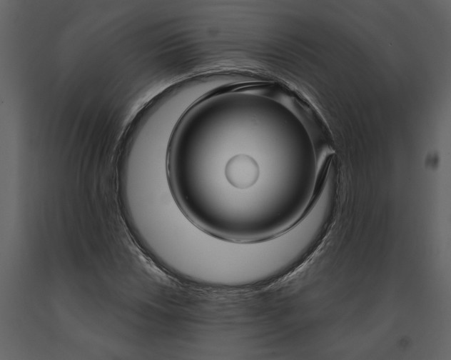 X0000091231018200708231649