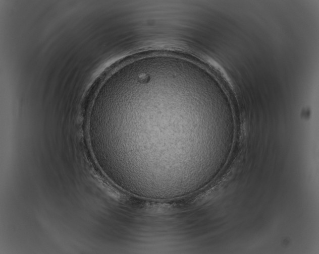 X0000091231019200708231649