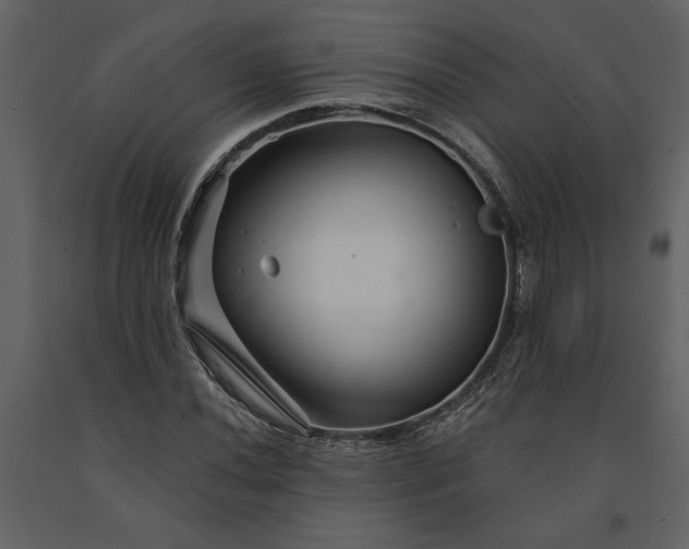 X0000091231020200708231649