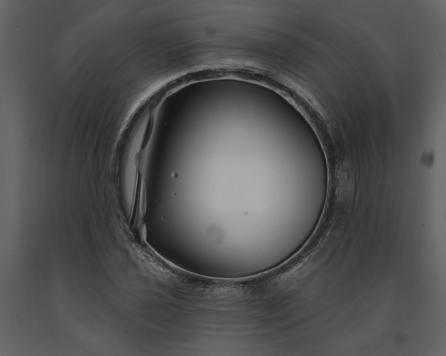 X0000091231021200708231649