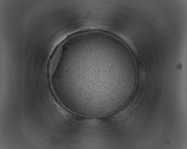 X0000091231023200708231650