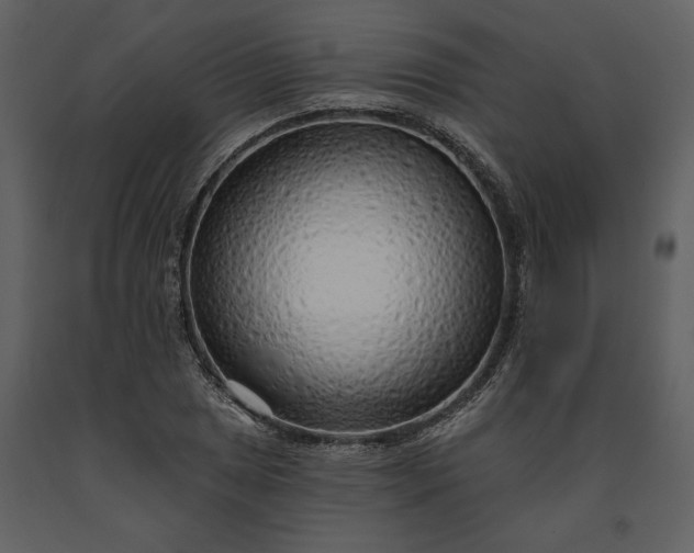 X0000091231025200708231650