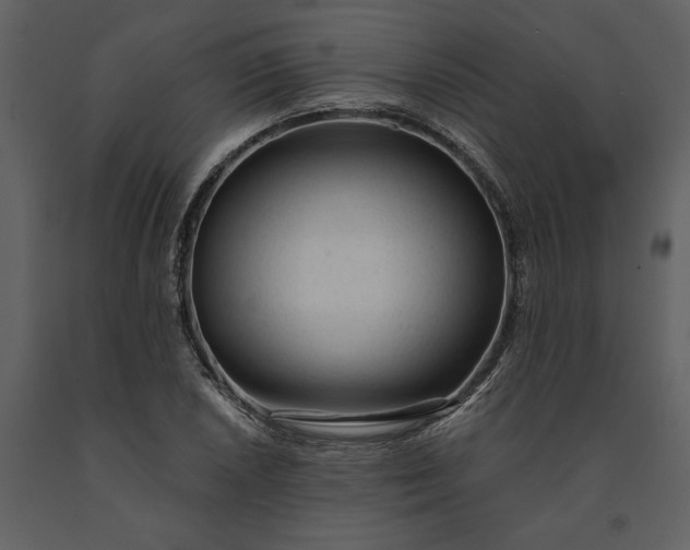 X0000091231026200708231650