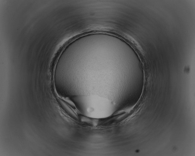X0000091231027200708231650