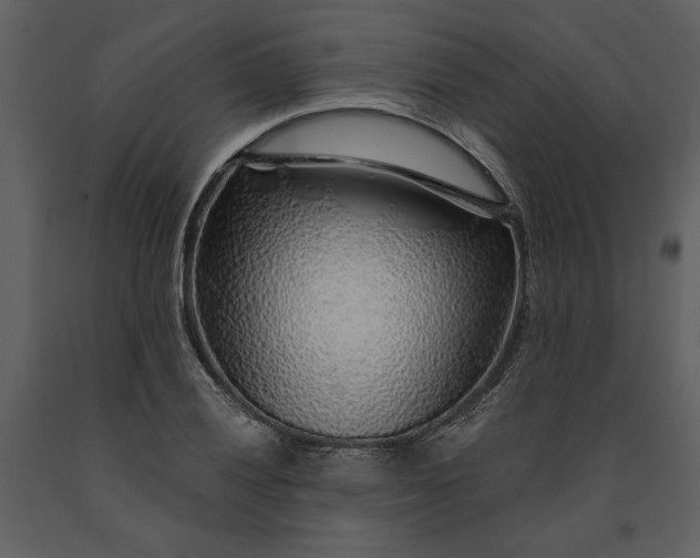 X0000091231028200708231650