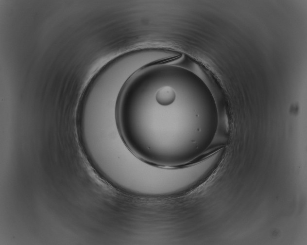 X0000091231030200708231650
