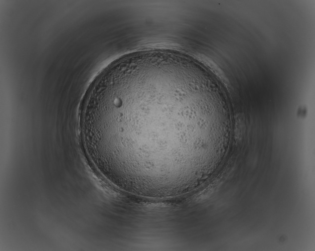 X0000091231031200708231650