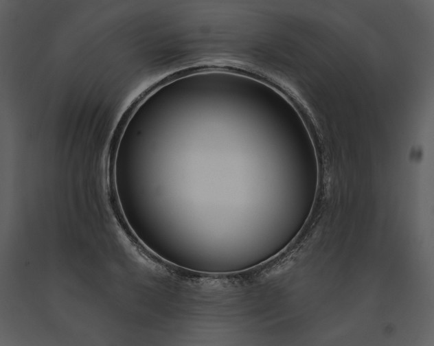 X0000091231032200708231650