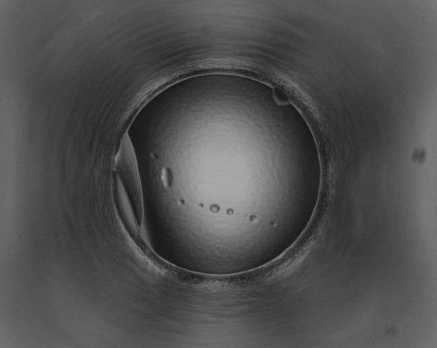 X0000091231033200708231650